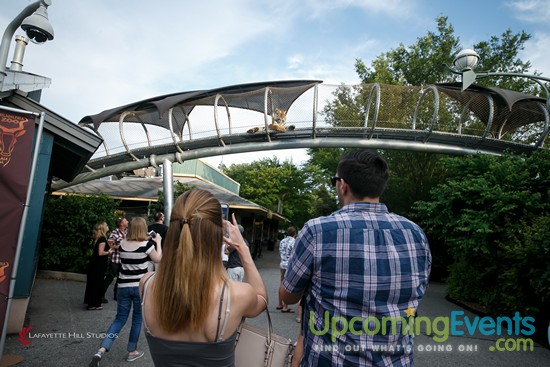 Photo from Summer Ale Festival at The Zoo!