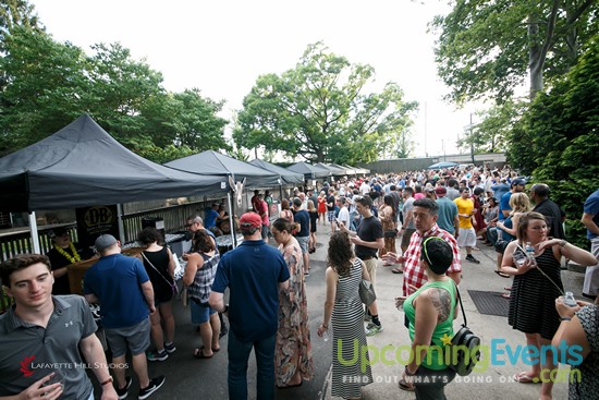 Photo from Summer Ale Festival at The Zoo!