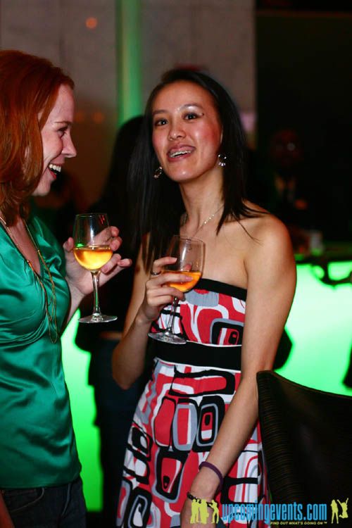 Photo from The 2008 Young Professionals Ball